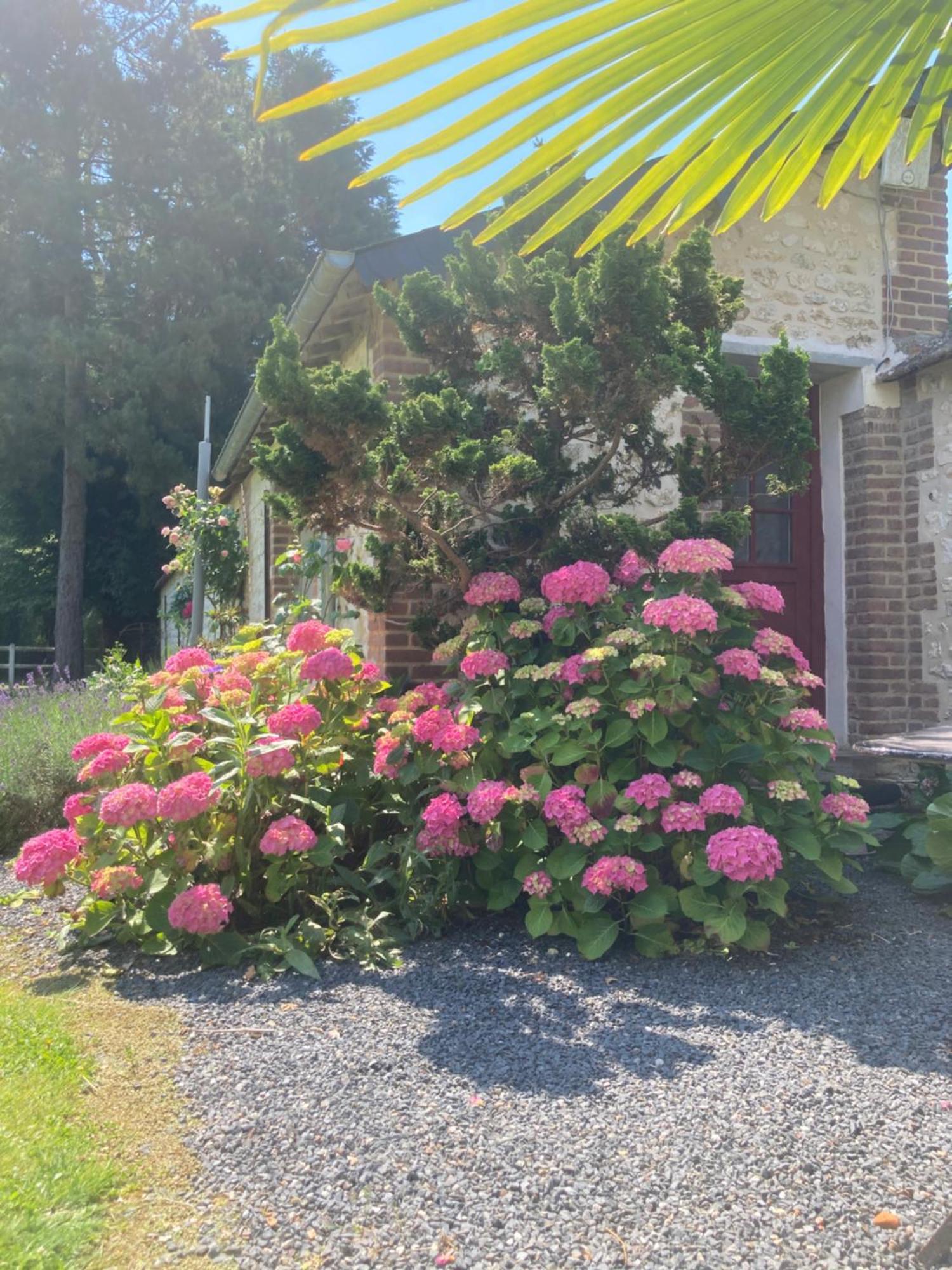 L'Oreade Amfreville-sur-Iton Exteriér fotografie